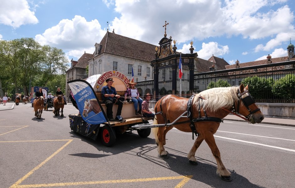 le défilé du centenaire a montré la vitalité du cheval comtois © Jack Varlet - besancon ©