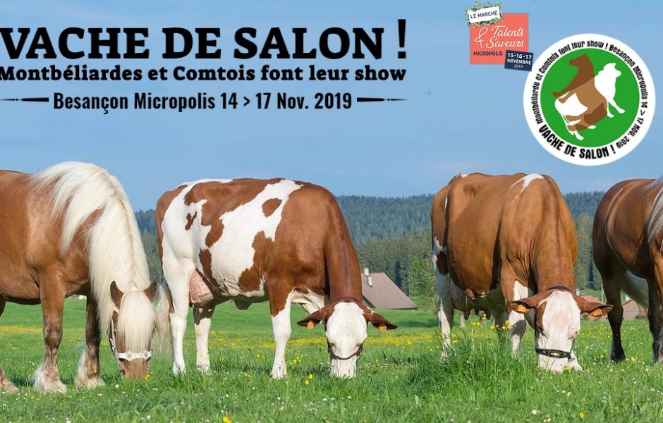 ©Vache de salon ©