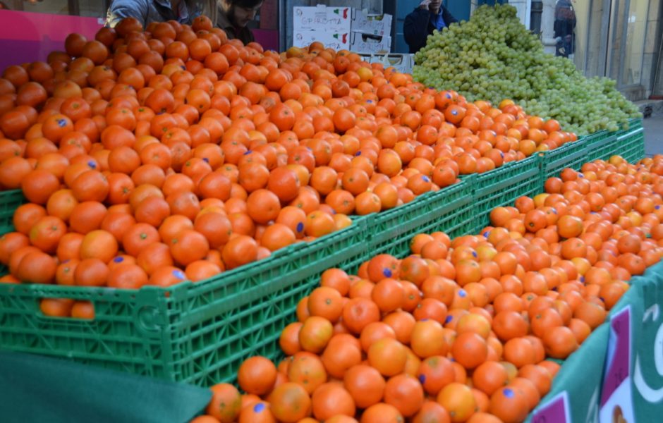 Braderie d'automne 2019 ©Alexane Alfaro ©