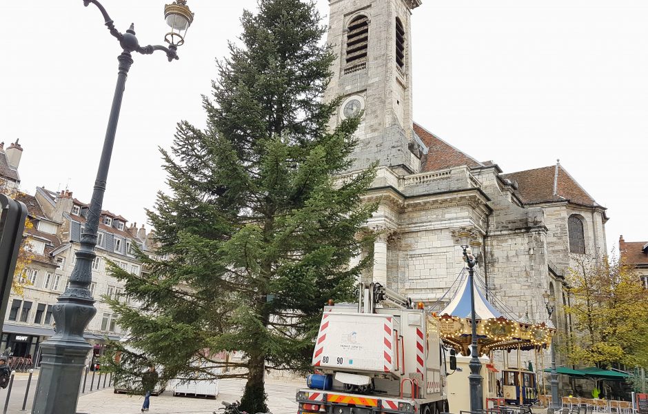 On installe les décorations dans le sapin… et le sapin ©MC
 ©