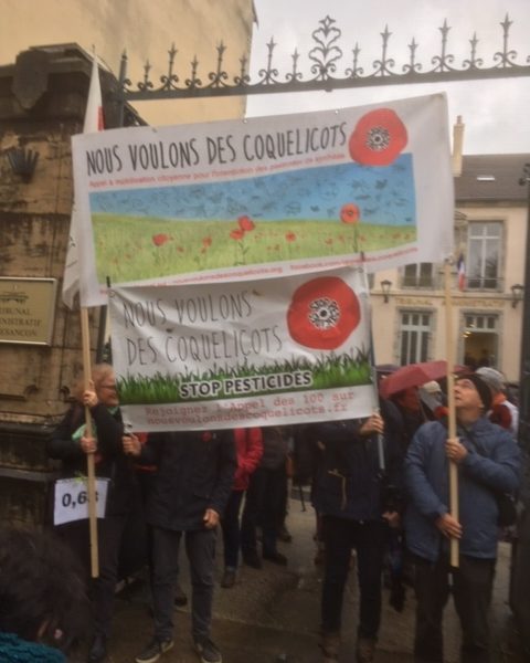 Image d'archive - arrêté anti-pesticide au tribunal administratif de Besançon le 14 novembre 2019 ©Patrick . E Coquelicot ©