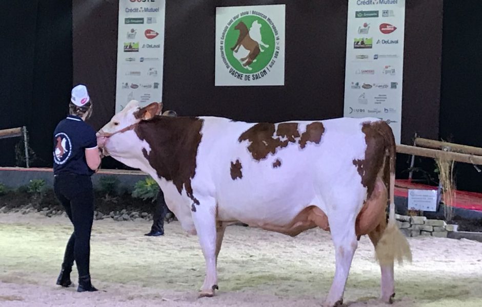 Vache de salon 2019 - vendredi 15 novembre 2019 ©Alexane Alfaro ©