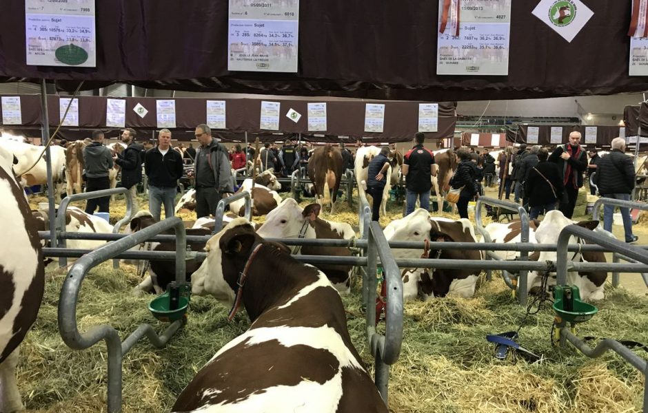 Vache de salon 2019 - vendredi 15 novembre 2019 ©Alexane Alfaro ©