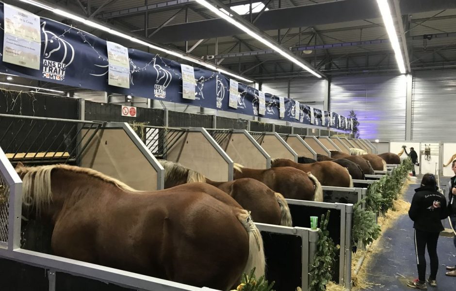 Vache de salon 2019 - vendredi 15 novembre 2019 ©Alexane Alfaro ©