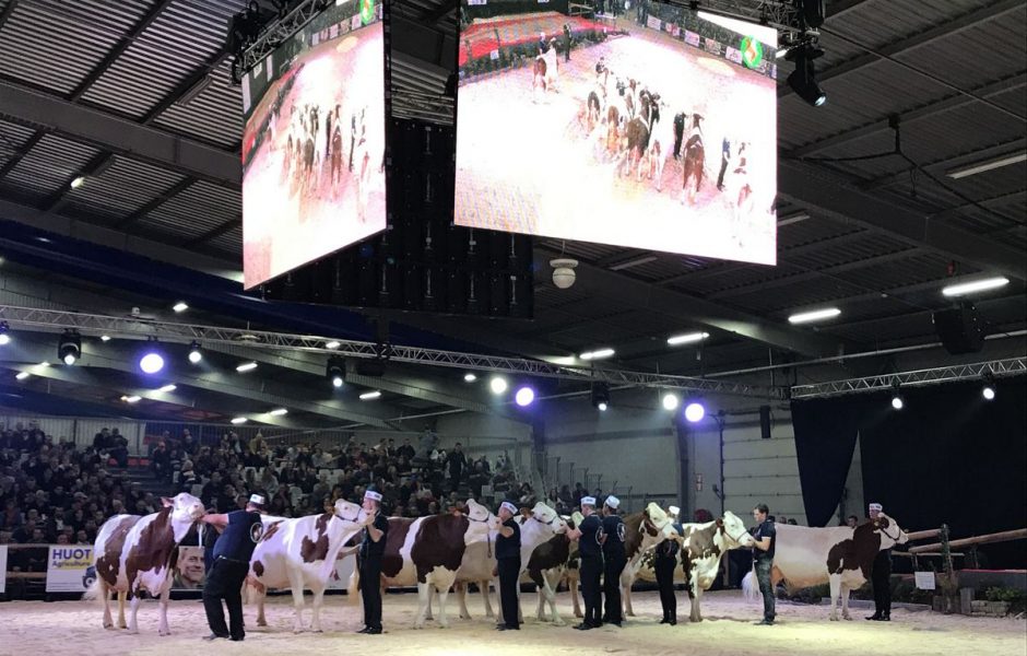 Vache de salon 2019 - vendredi 15 novembre 2019 ©Alexane Alfaro ©