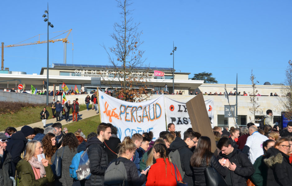 manifestation du 16 janvier 2020 © Marie-Lou ©