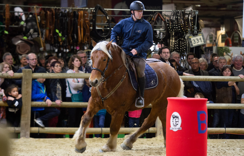 © Association du Cheval Comtois ©