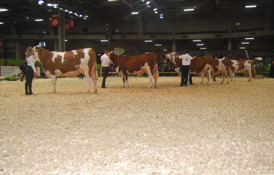 Salon agriculture 2020© Association Montbéliarde ©