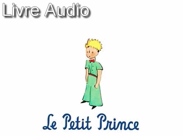 © Petit Prince capture livre audio Youtube ©