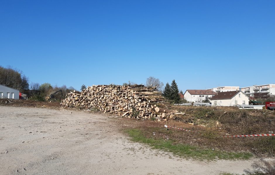 abattage d'arbres mars 2020 © Université de Franche-Comté ©