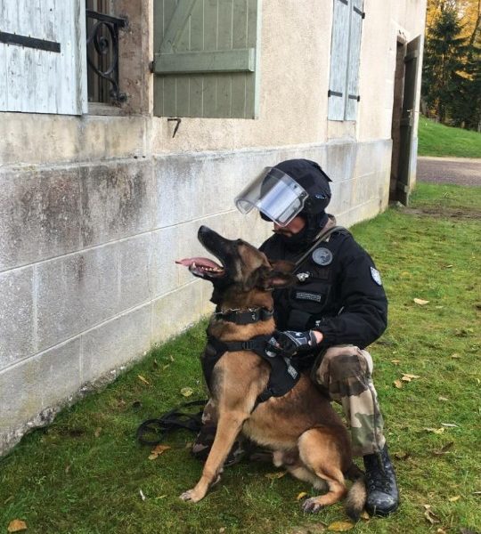 © brigade cynophile gendarmerie de la Haute-Saône ©