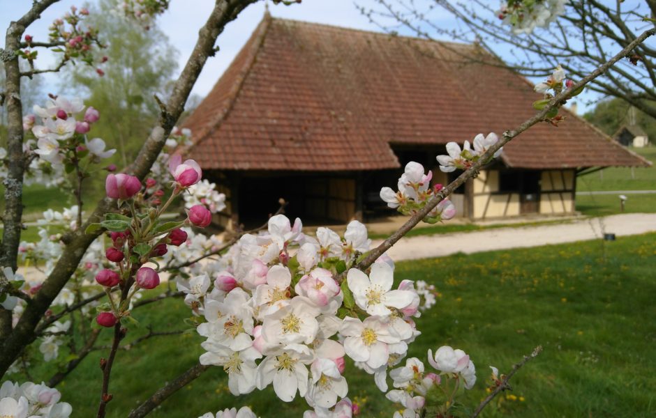 © Musée des Maisons comtoises de Nancray ©