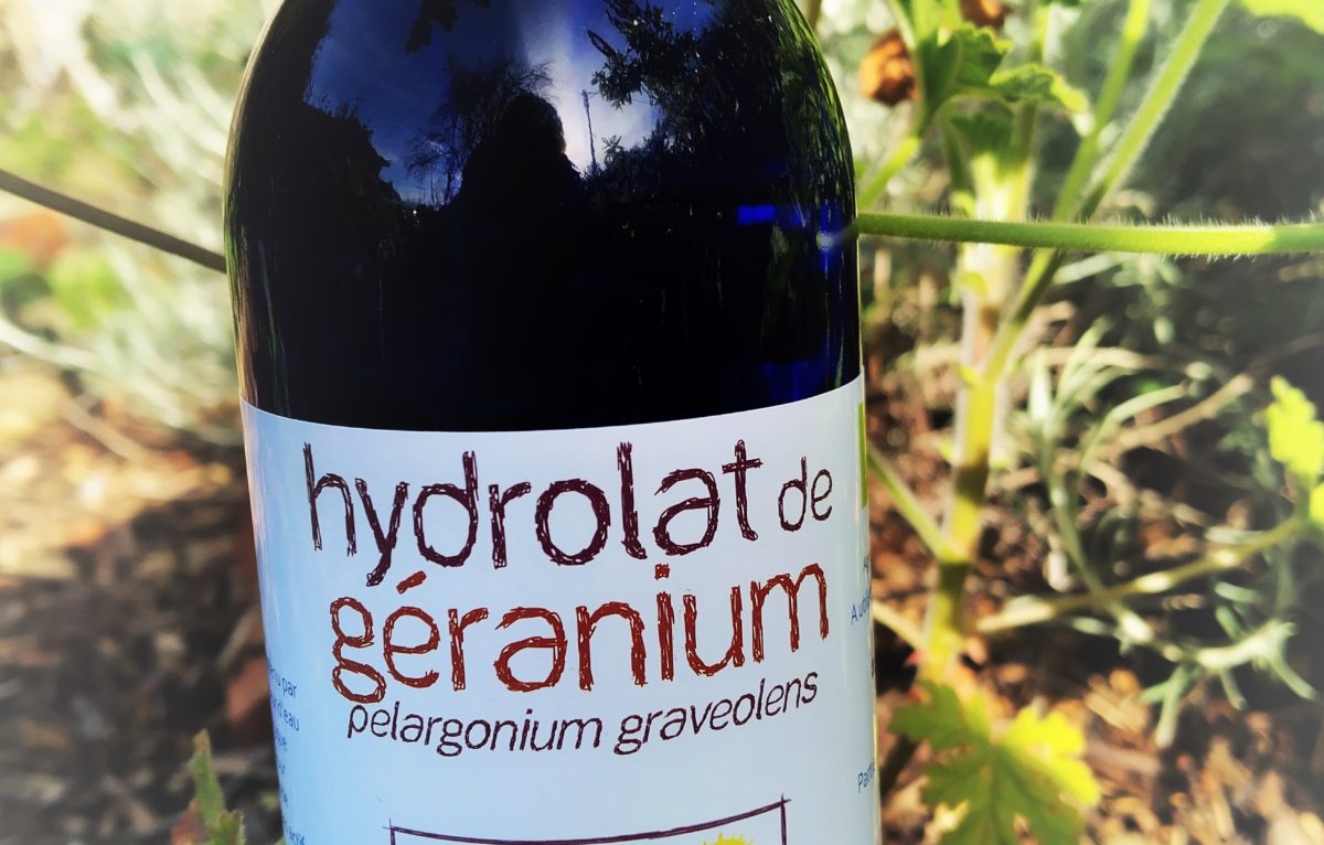 Hydrolat de géranium © Le Soin Jardiné ©