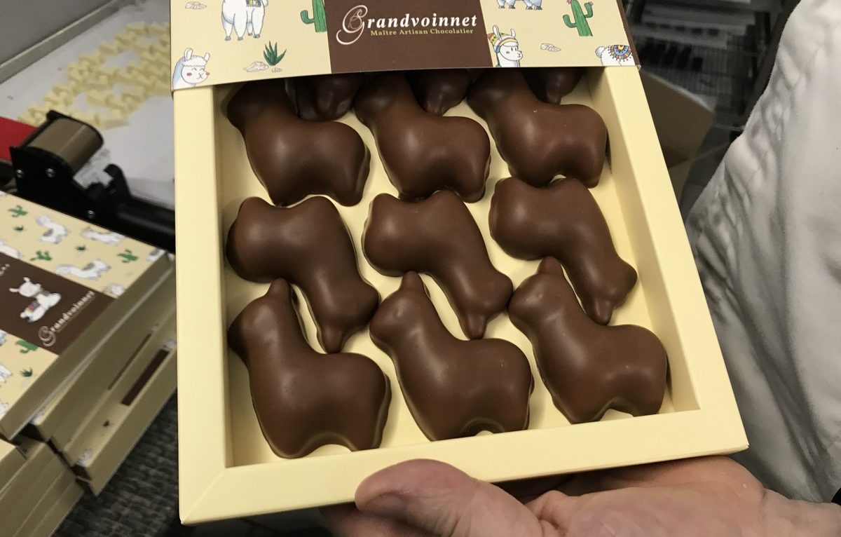 Oursons guimauves  Chocolat Valrhona