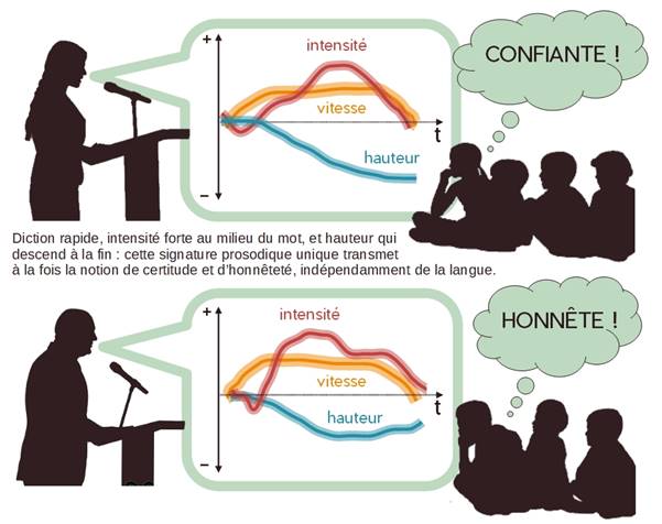 Les deux types de jugements (certitude, honnêteté) reposent sur une seule et même signature acoustique : une hauteur qui descend à la fin du mot, une intensité forte au milieu du mot, et une diction rapide. Haut : certitude, bas: honnêteté. © Jean-Julien Aucouturier et Louise Goupil, laboratoire STMS (CNRS/Ircam/Sorbonne Université/ministère de la Culture)