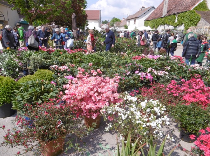 © organisateurs 26e foire aux plantes rares
 ©