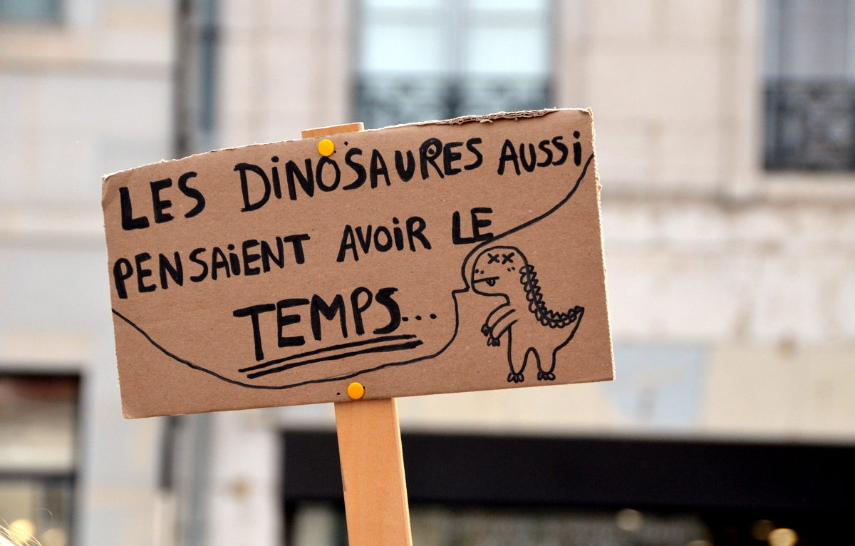 Archives - Marche pour le climat le 19 mars à Besançon. © Alexane Alfaro