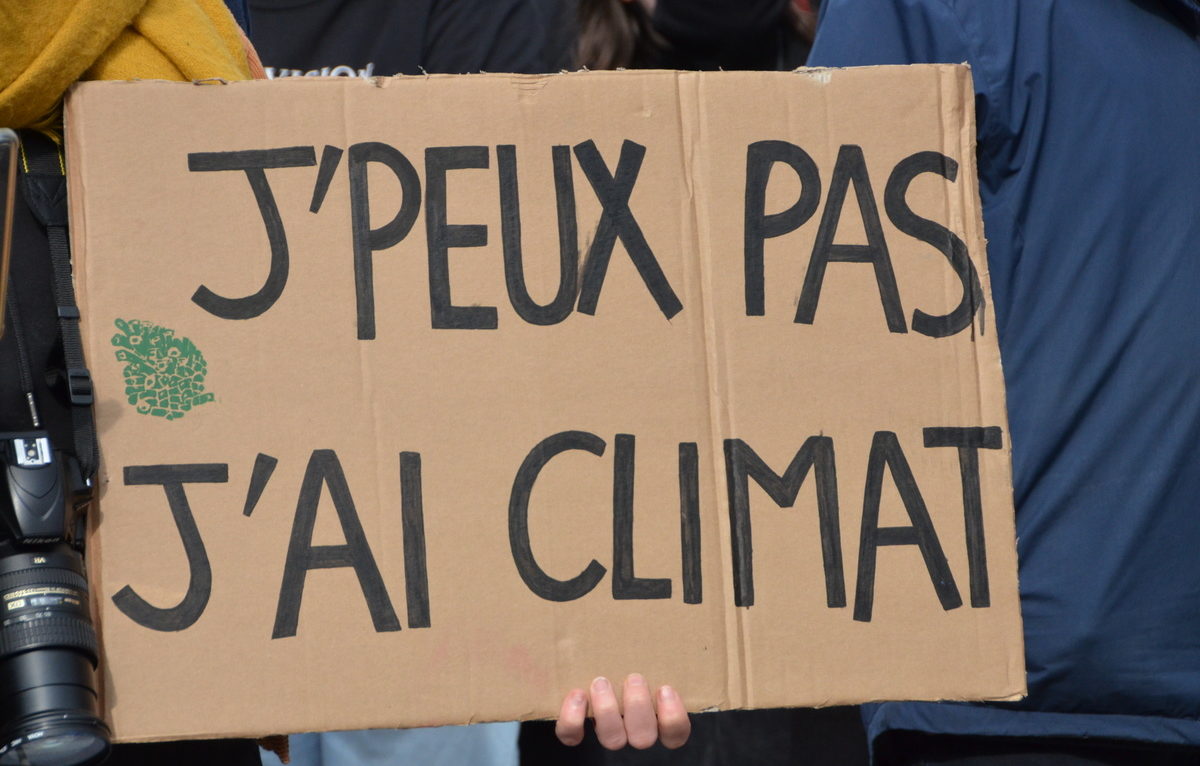 Marche pour le climat le 19 mars à Besançon. © Alexane Alfaro