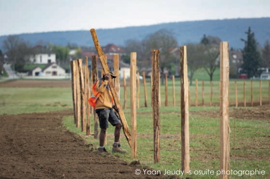  © Yoan Jeudy Sosuite Photographie