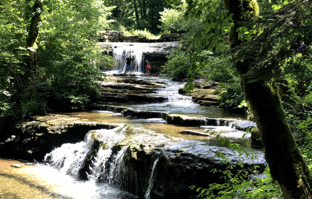 Dans le Jura...  © D Poirier