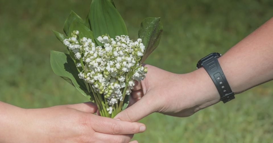 Muguet du 1er mai : une tradition qui fleurit… mais de plus en plus chère • macommune.info
