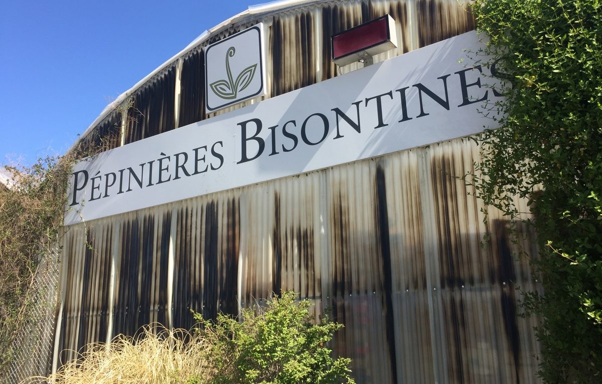 Les Pépinières Bisontines. © Alexane Alfaro