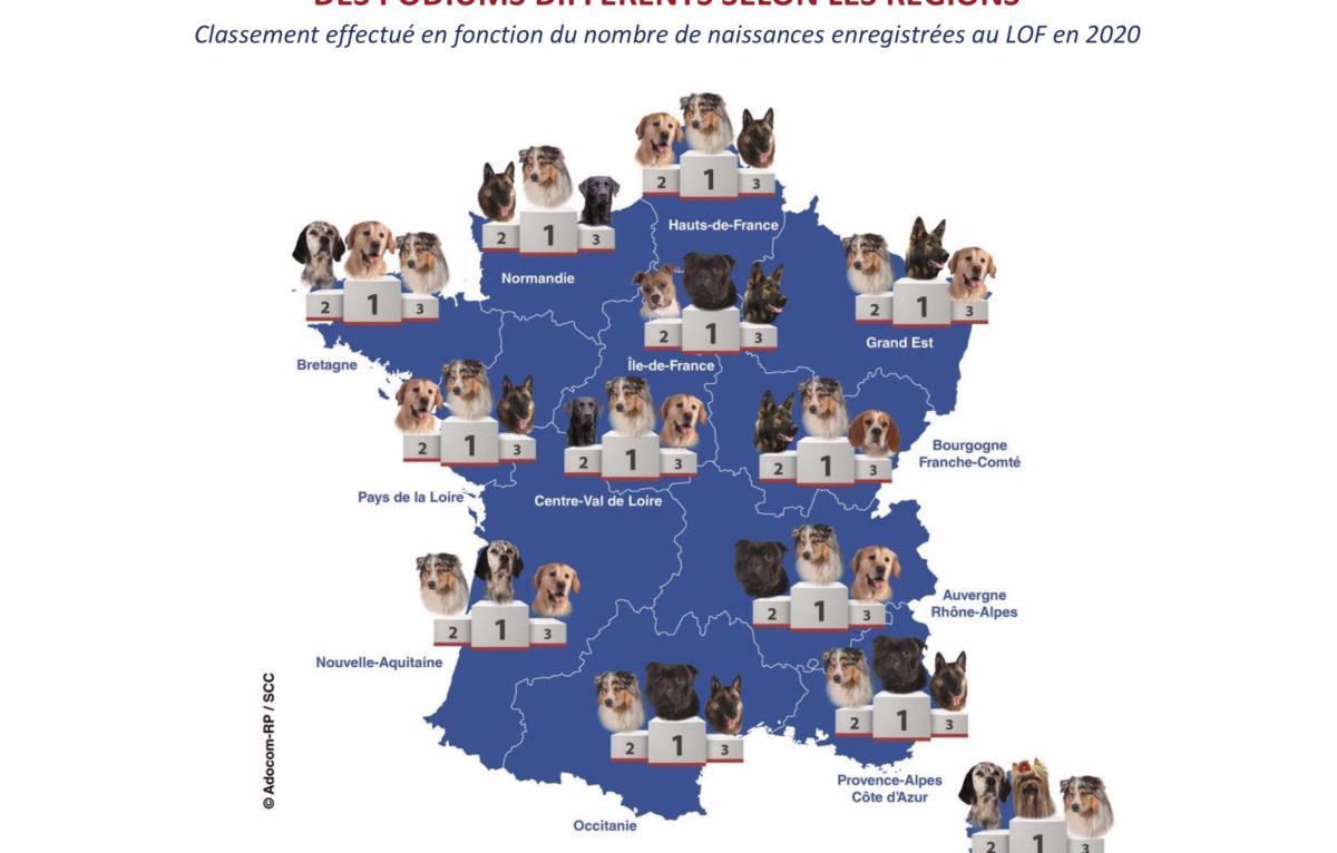  © Société Centrale Canine