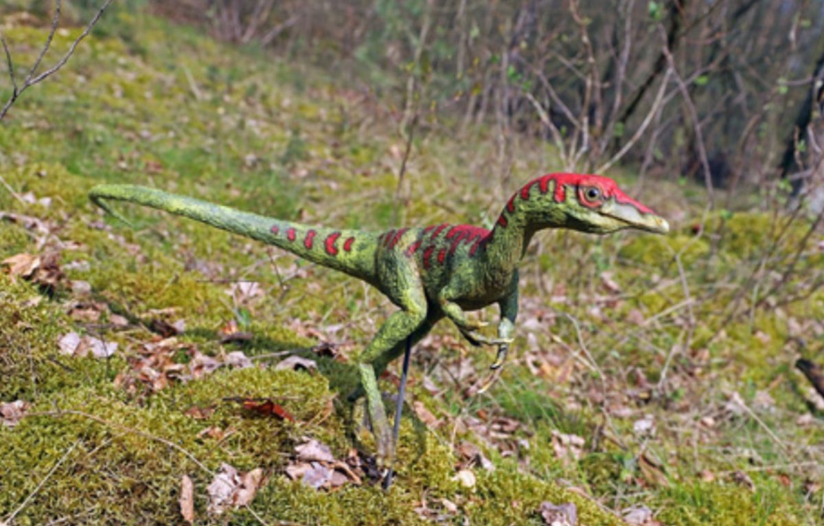 COMPSOGNATHUS <span class='copyright'></img>© Dino Zoo</span>