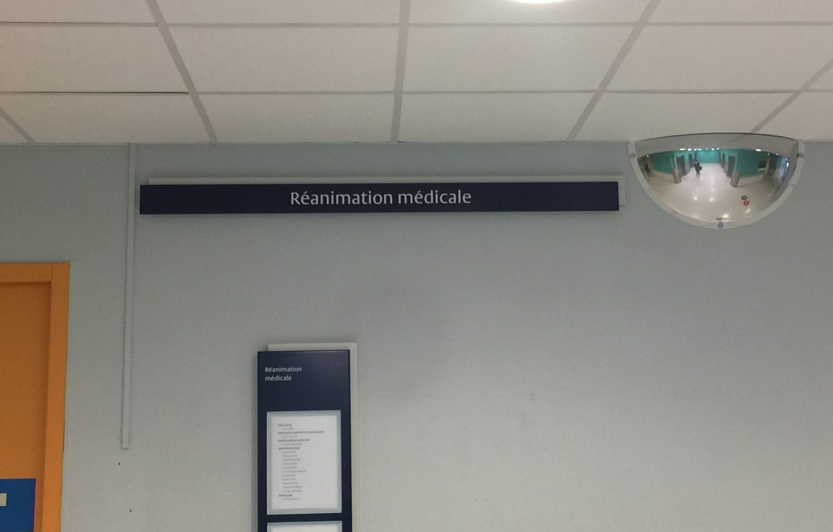  &copy; Alexane Alfaro