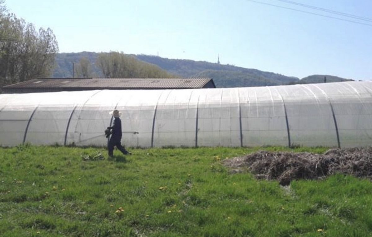 Jardins de Cocagne - Travail des champs - salariés en insertion. © Association Julienne Javel