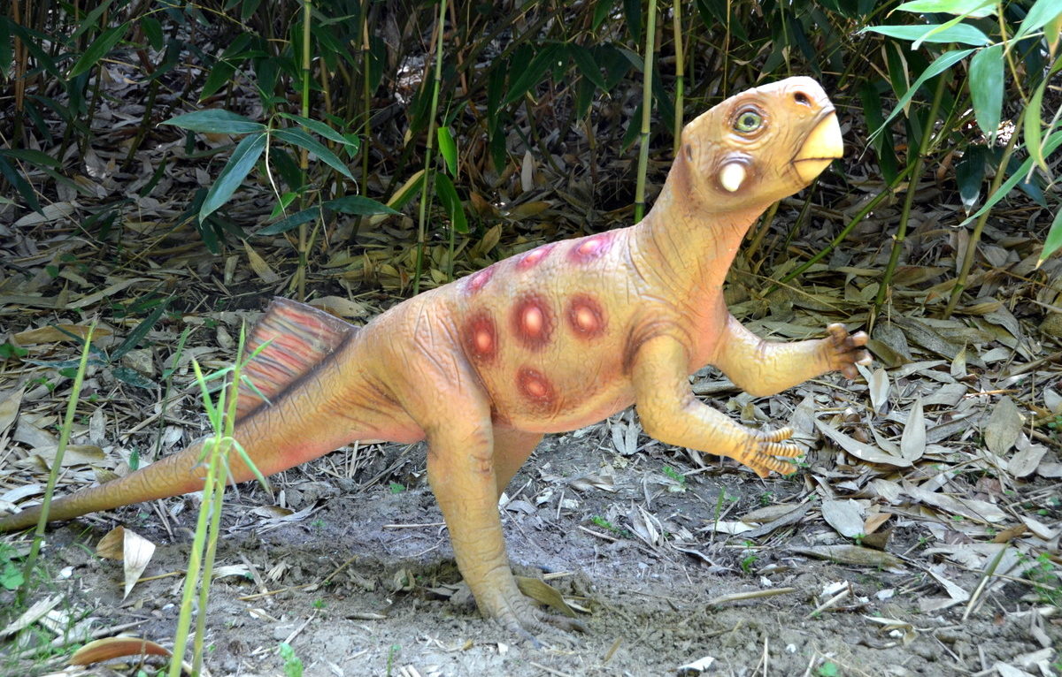 Dino-Zoo © Alexane Alfaro