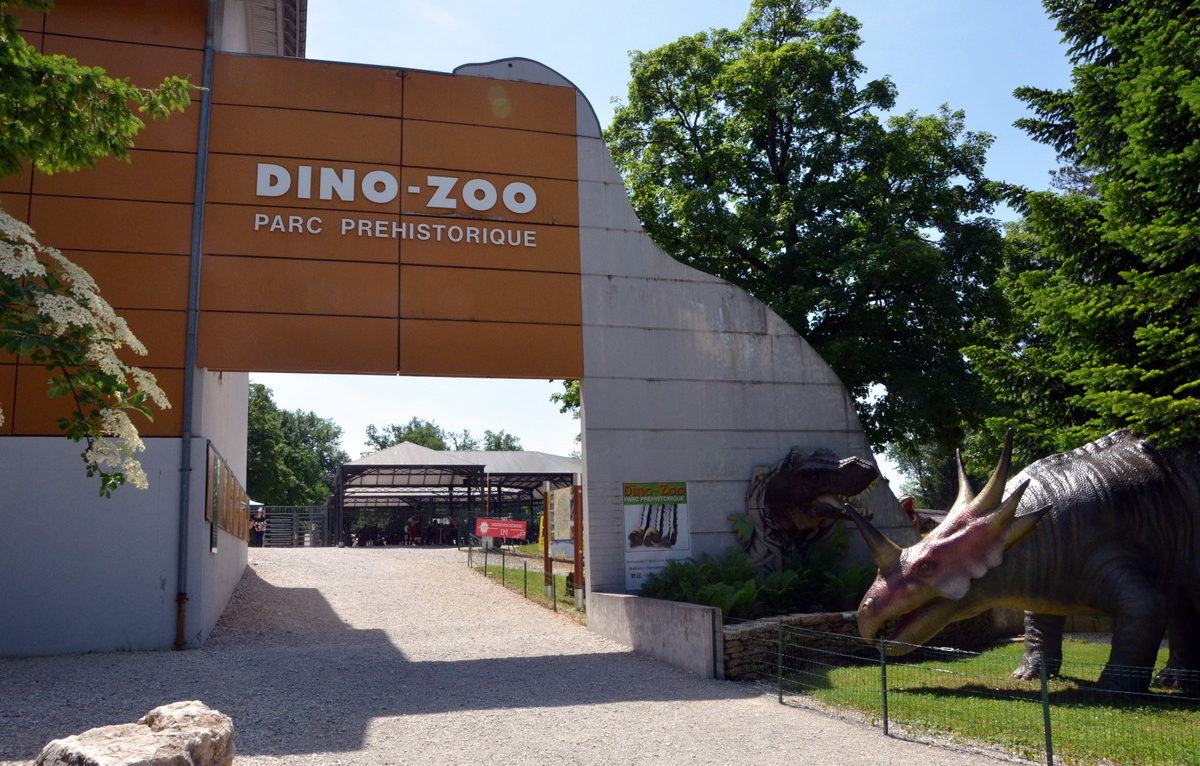 Dino-Zoo © Alexane Alfaro