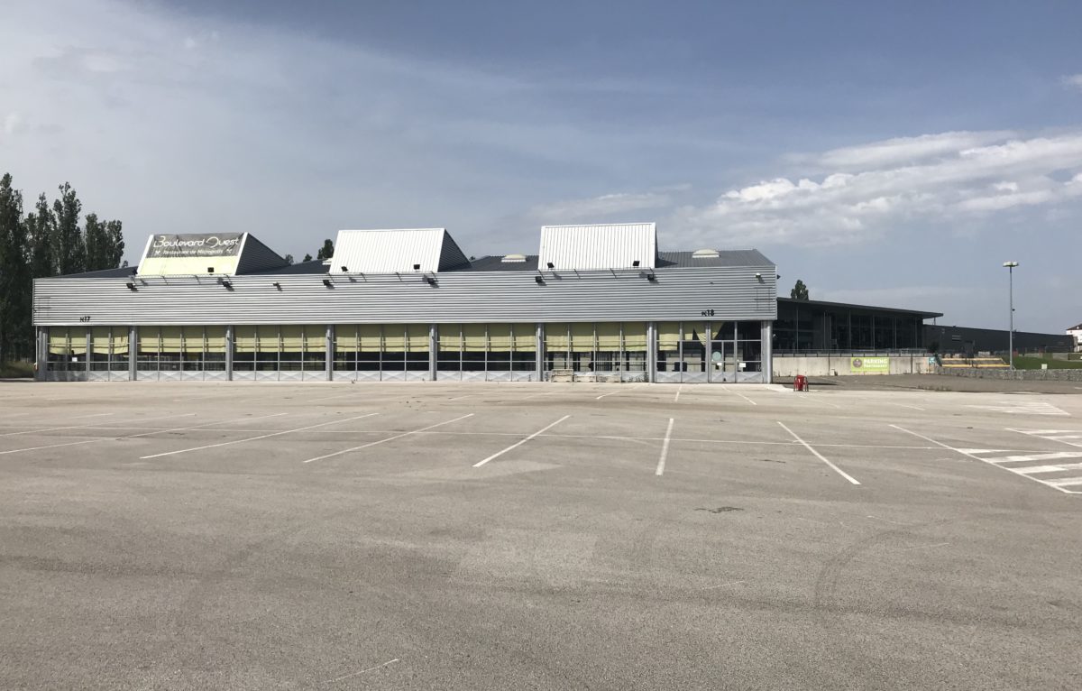  &copy; Alexane Alfaro