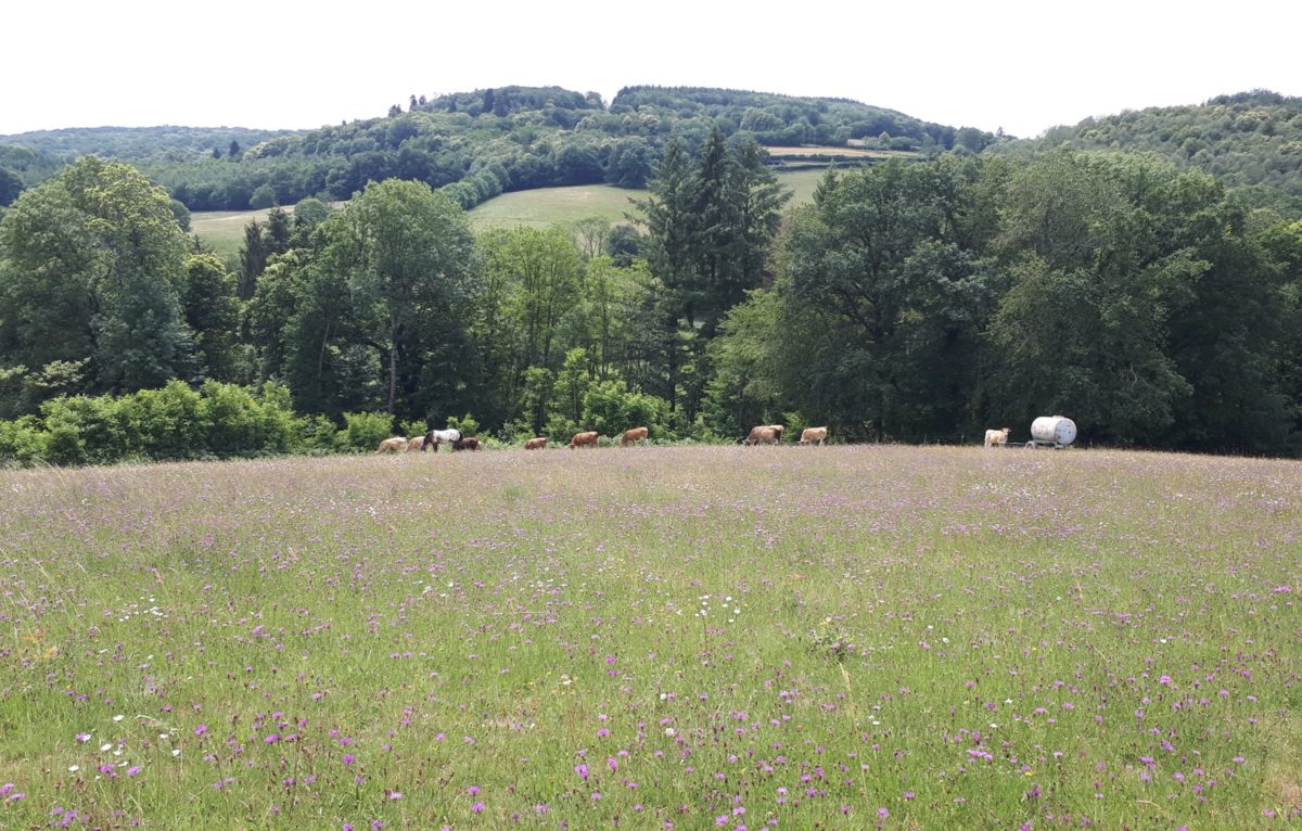  © Parc Naturel Régional du Morvan/Facebook