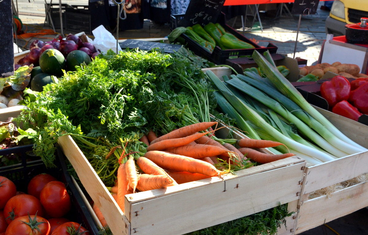  &copy; Alexane Alfaro