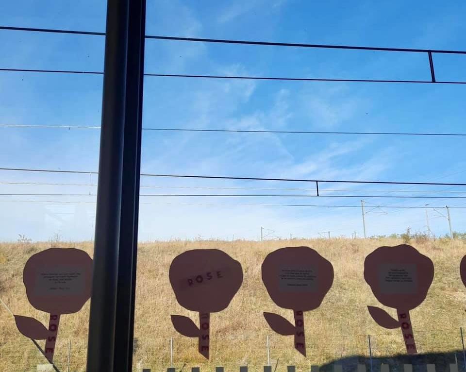 Les roses de Denise Degert en gare de Belfort. © SNCF Gares et connexions