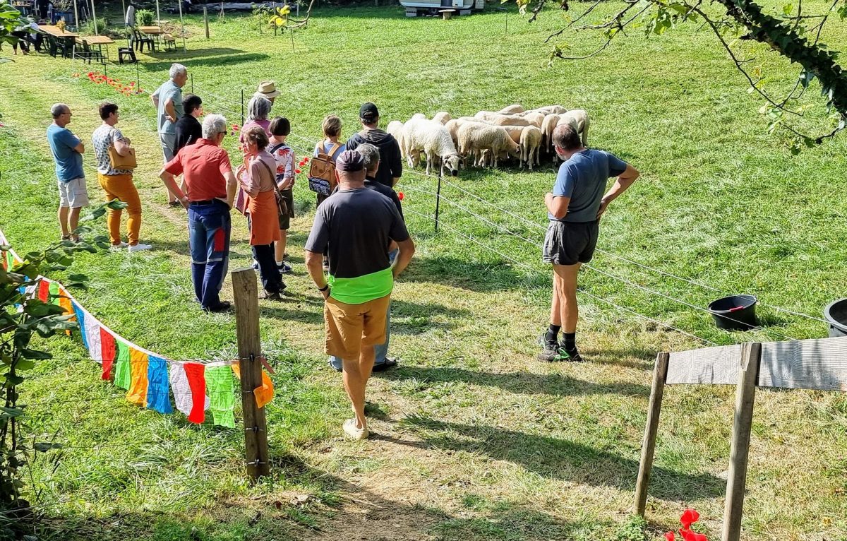  © Opération de ferme en ferme