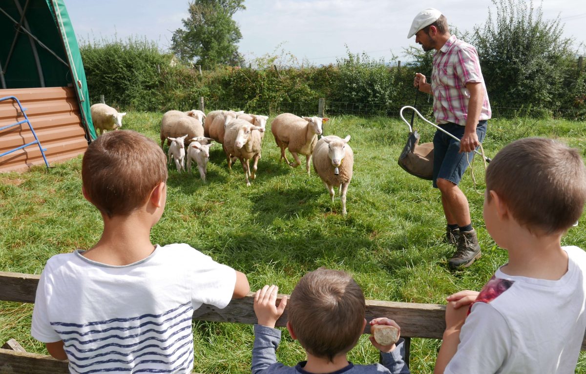  © Opération de ferme en ferme