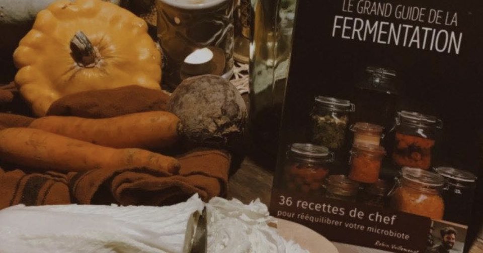 Le Grand Guide De La Fermentation Robin Vuillemenot