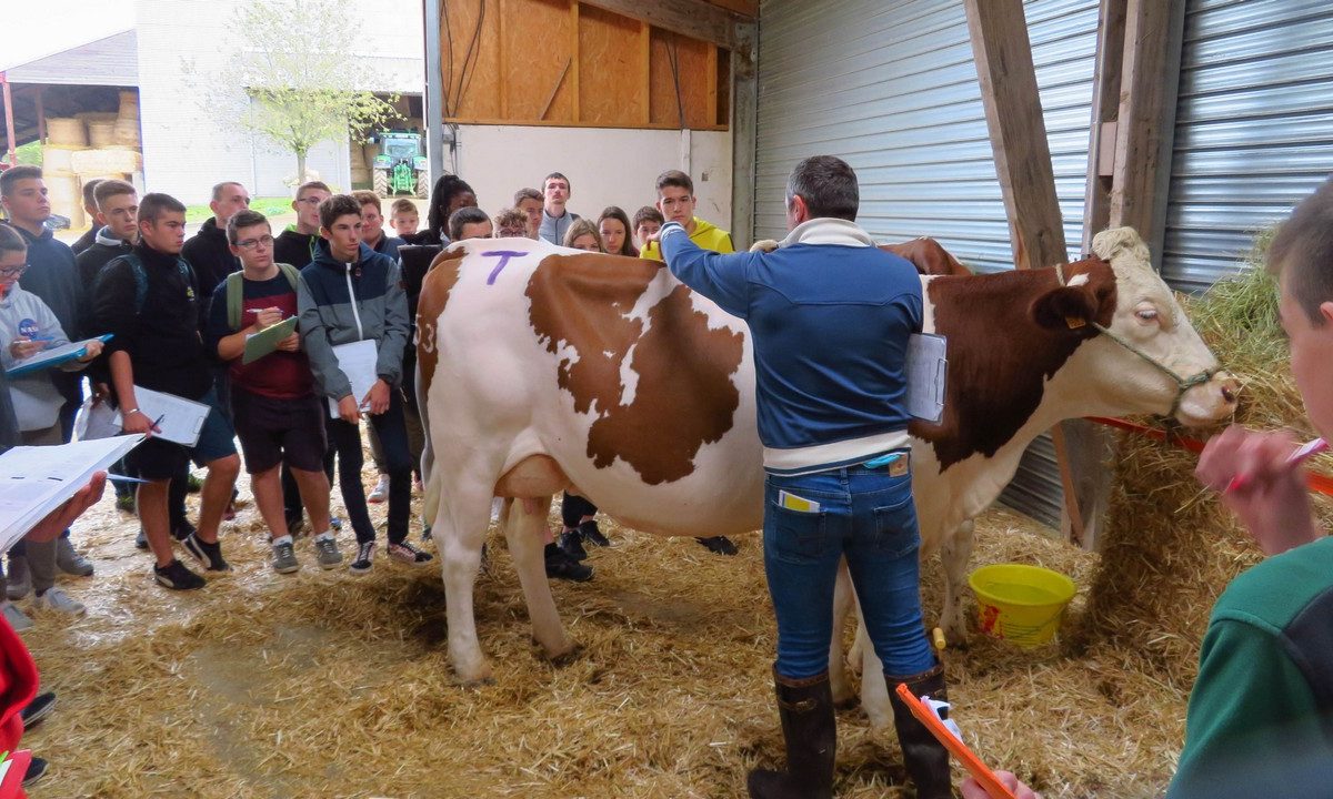  © CFA du Doubs