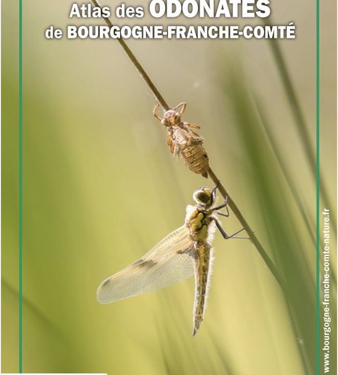  © Conservatoire botanique national de Franche-Comté