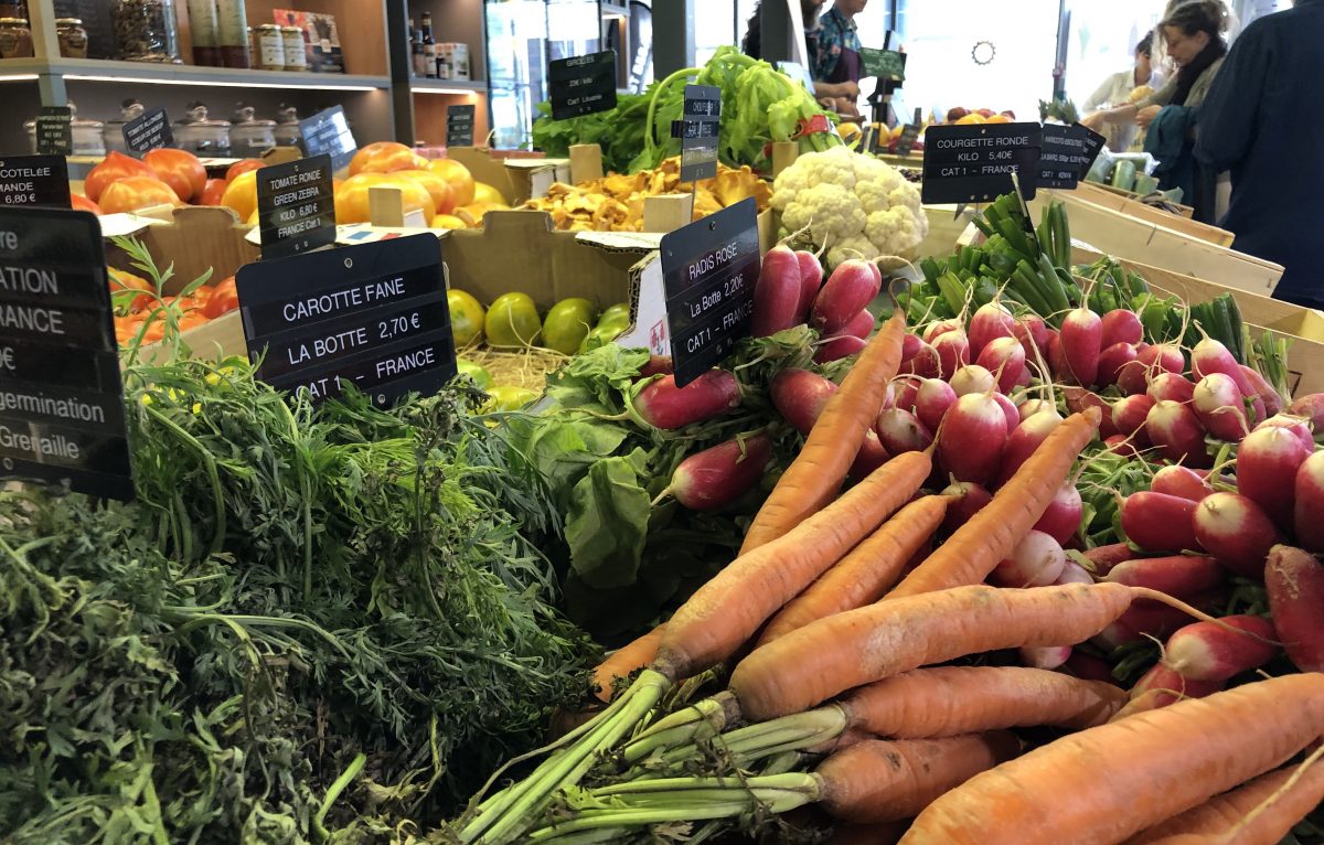  &copy; Alexane Alfaro