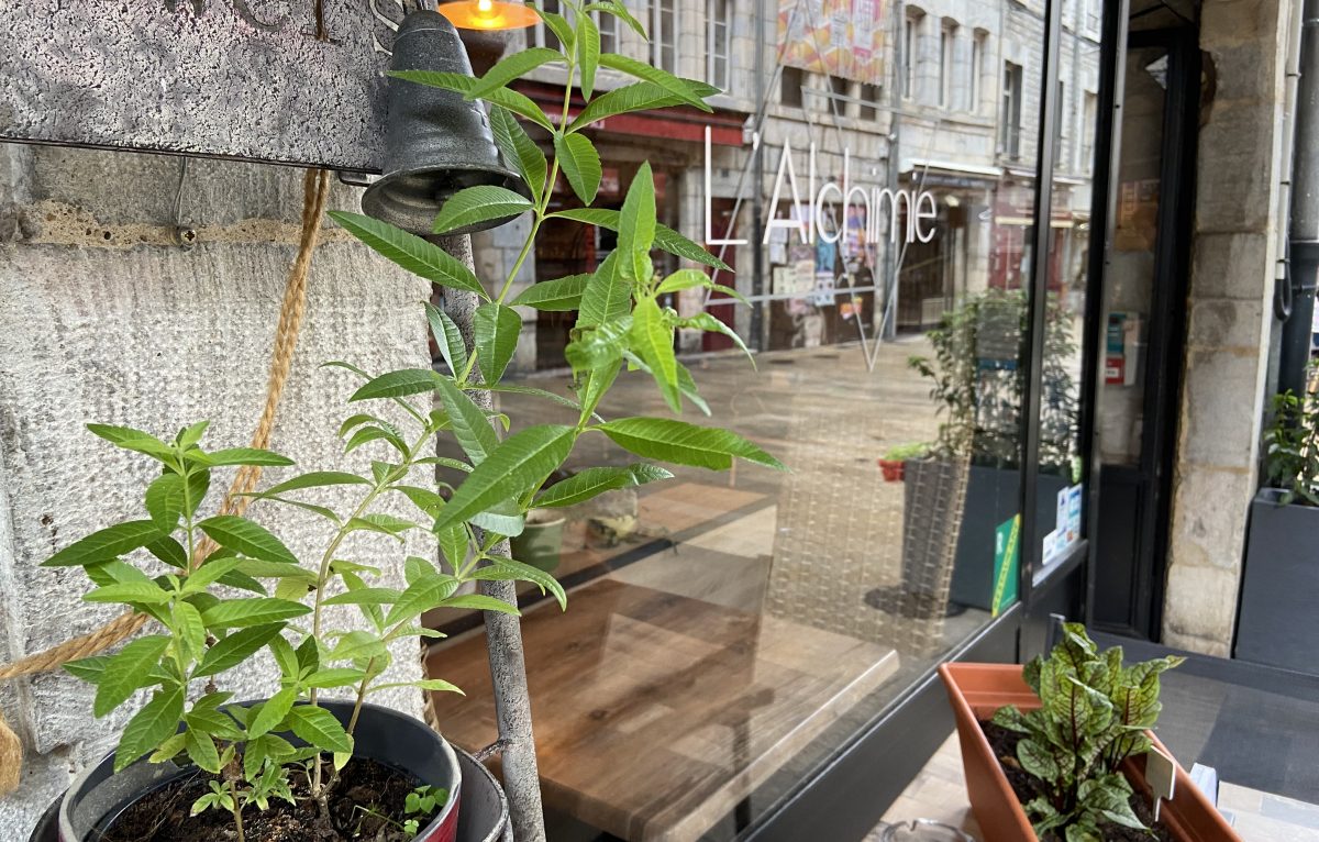 Le chef utilise beaucoup des herbes aromatiques qu'il a lui-même fait pousser et que l'on retrouve dans le restaurant. © Elodie R