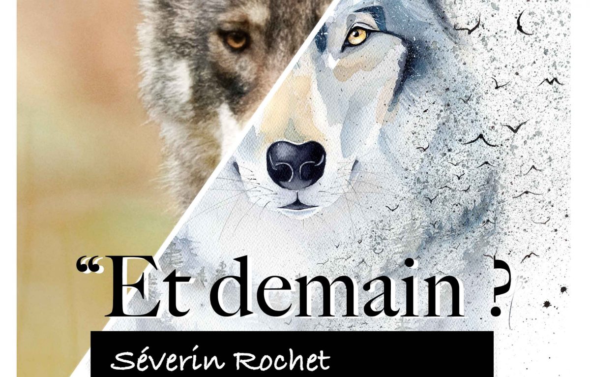  © Séverin Rochet et Marcelle Panthère