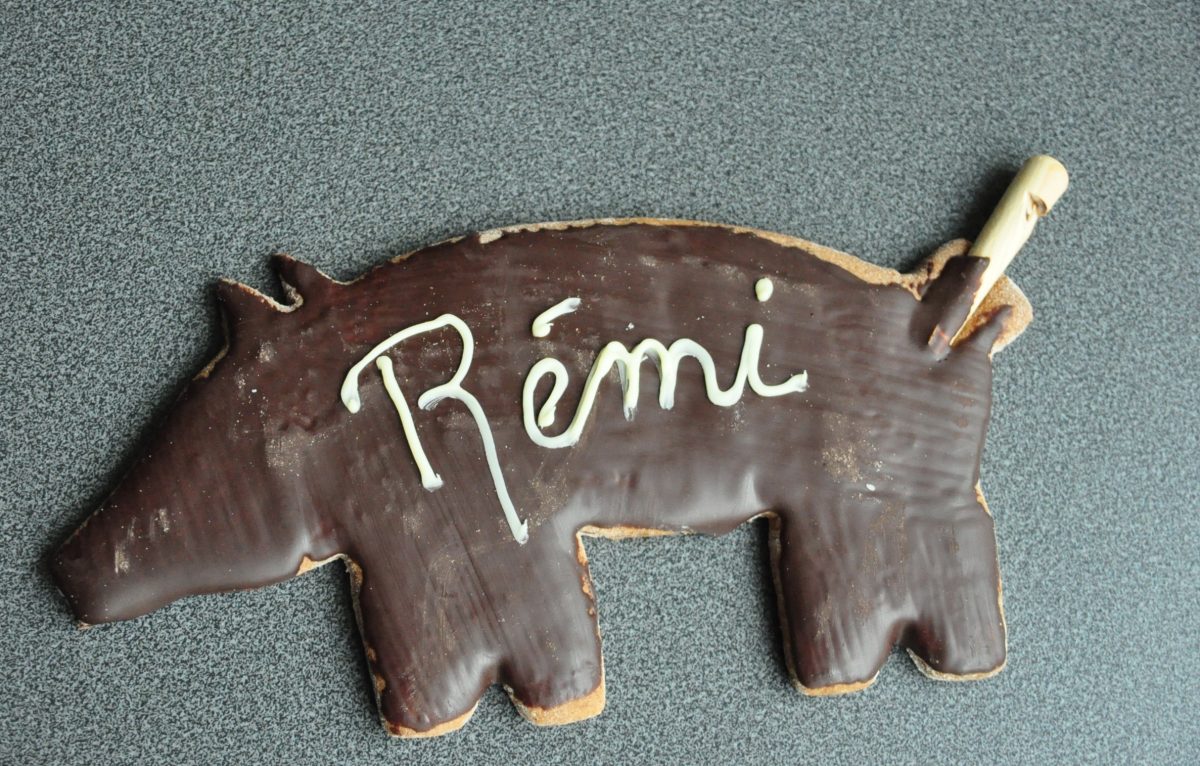 Petit cochon en pain d'épice, nappé de chocolat. Ils sont fabriqués spécialement pour la foire de la Sainte-Catherine de Vesoul (et ne sont disponibles qu'à cette période de l'année, autour du 25 novembre). La queue est constituée d'un sifflet en bois. © Remi Mathis - https://fr.wikipedia.org/wiki/Creative_Commons