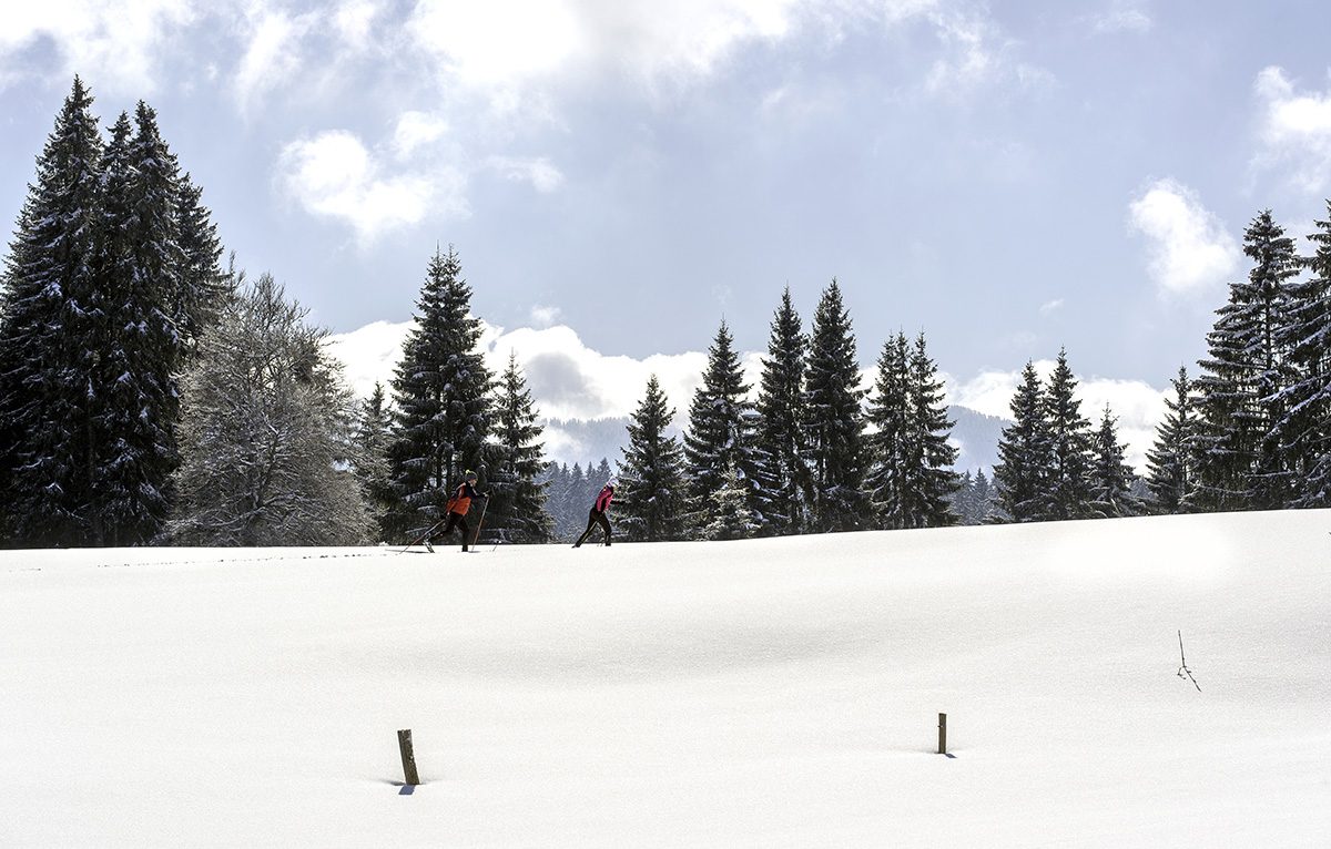 Gagnez des PASS Séance Famille avec l'Espace Nordique Jurassien! ©  ©Laurent Cheviet (133)