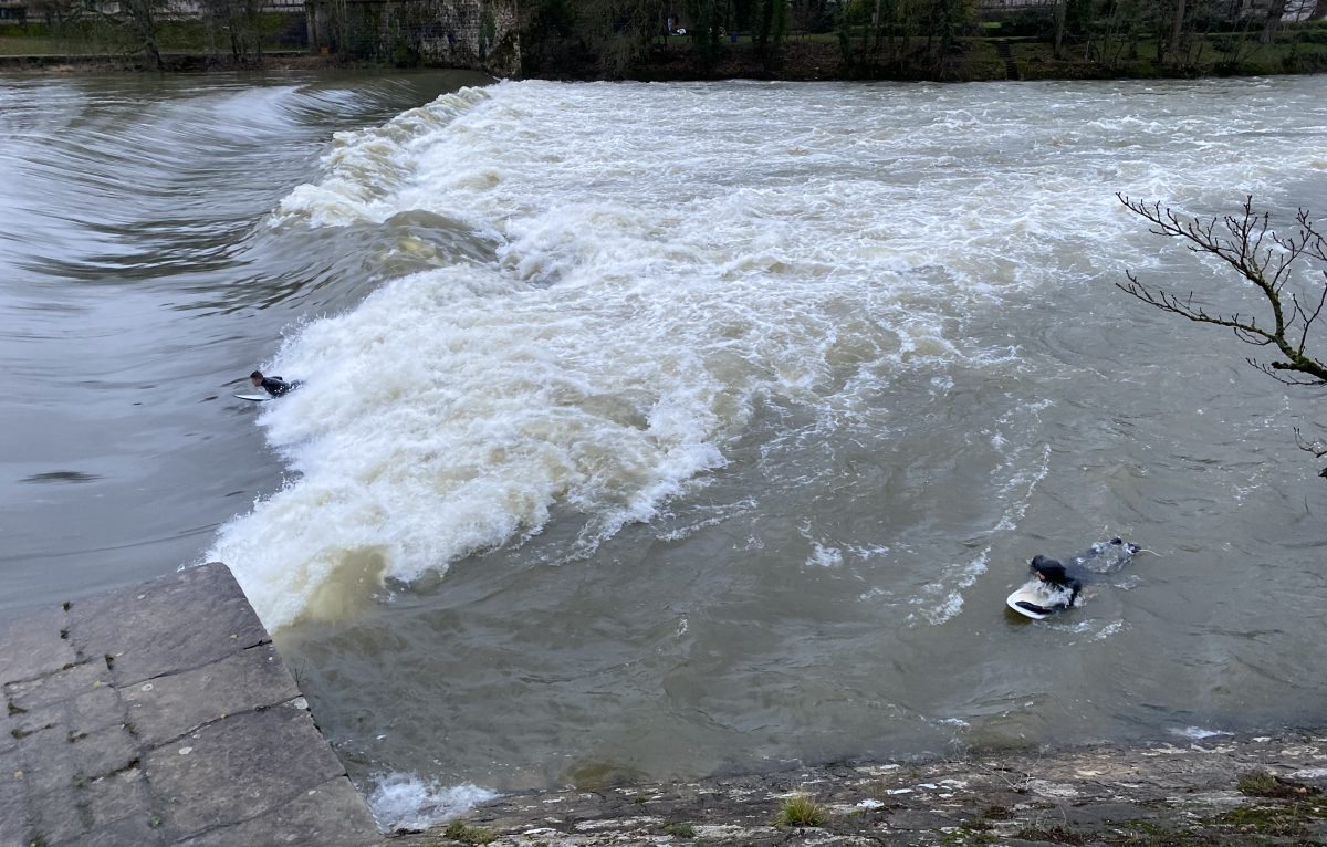  © Alerte témoin/SB