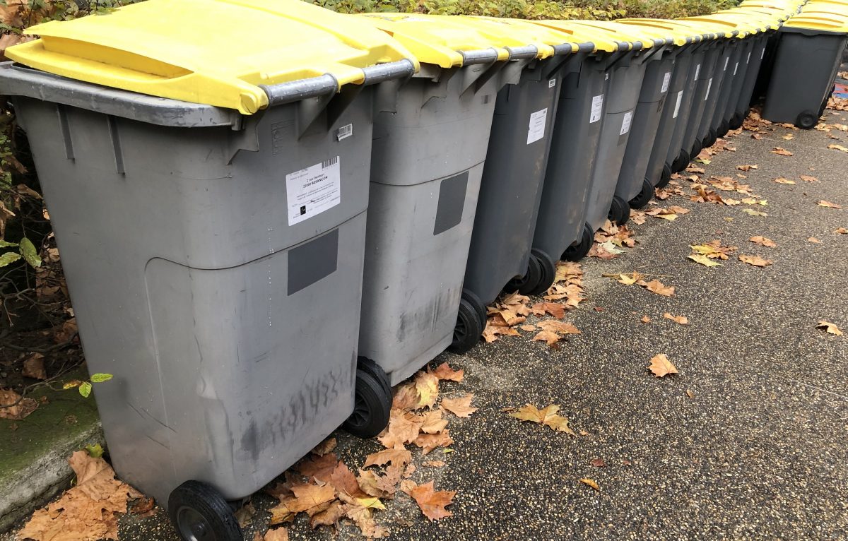  &copy; Alexane Alfaro