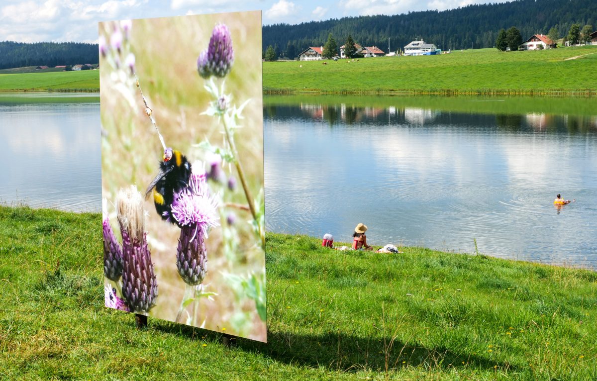 Projet de résidence et d'exposition entre le Parc naturel régional du Doubs horloger et le festival. © Alt+1000