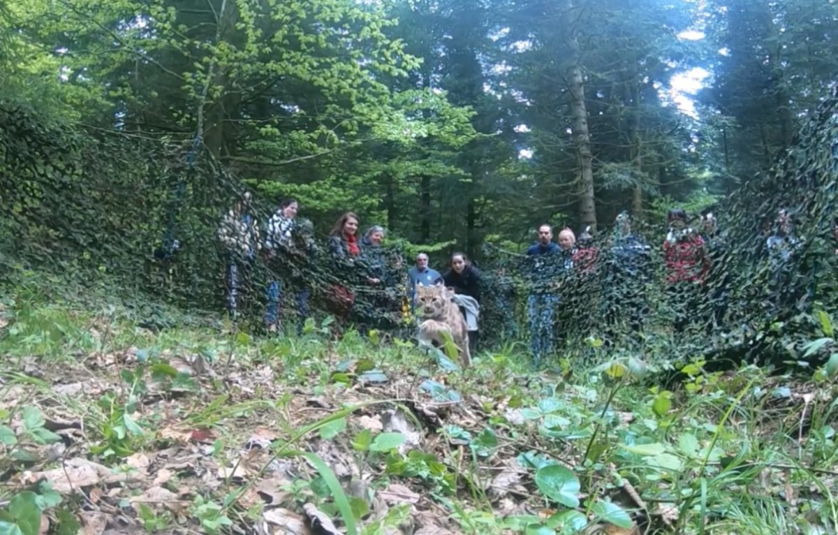  © Capture d'écran vidéo Facebook Centre Athénas
